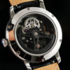 Mechanical Watches Manufacturer | Starry Sky and Fritillaria Aventurine Silver