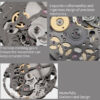 Mechanical Watches Manufacturer | 9015 Skeletonized Movement