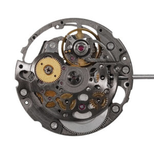 9015 Skeletonized Movement