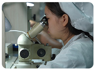 Mechanical Watches Manufacturer | Watch Manufacturer