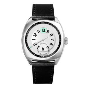 Automatic Jumping Hour Watch: Custom Private Label OEM