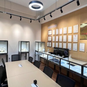 Mechanical Watches Manufacturer|Google AP2